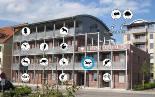 Hafendomicil Appartement WH07 - Fuchs - Waren - 2