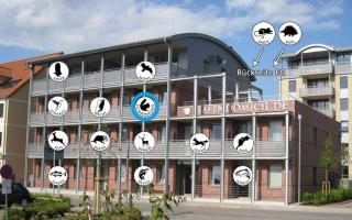 Hafendomicil Appartement WH11 - Eichhörnchen - Waren - 2