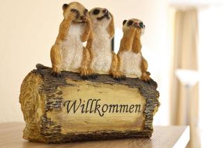 Am Seeufer 60 Fewo 605 - Waren - 9