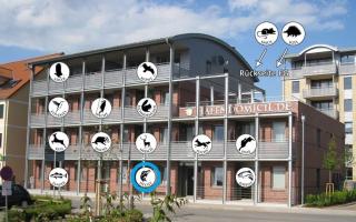 Hafendomicil Appartement WH02 - Hecht - Waren - 2