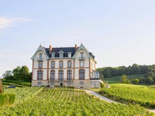 Chateau de Sacy - 0