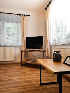 Apartmán Pod Ledovcem - Mladé Buky - 1