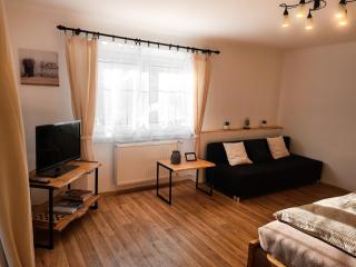 Apartmán Pod Ledovcem - Mladé Buky - 4