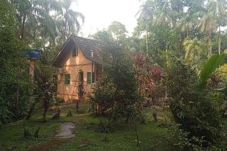 Casa Aconchegante em Morretes no meio da Natureza! - Morretes - 0