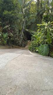Casa Aconchegante em Morretes no meio da Natureza! - Morretes - 8