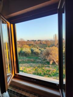 B&B Camera delle Camelie - Palestrina - 3