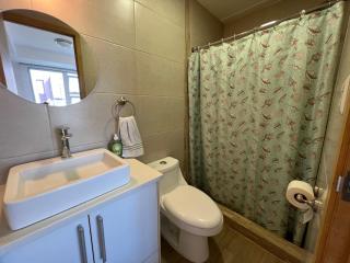 Cityhaus apartment zone 10 near hotel area shuttle service included! - Guatemala - 1