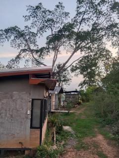 Doi Sang Farm Stay - ดอยซางฟาร์มสเตย์ - Ban Huai Kom - 4