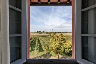 Agriturismo Podere La Rocca - Abbadia di Montepulciano - 7