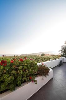 Villa Iliovasilema Santorini - Akrotiri - 2