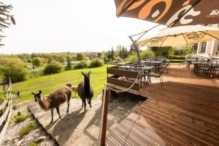 Hotel Rozkoš - Česká Skalice - 0