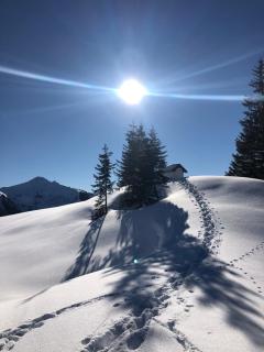 Appartement Wimreiter - Saalbach-Hinterglemm - 2