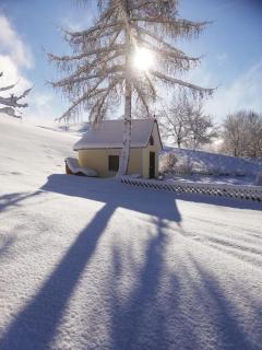 Alpenchalets Oberlaiming - 4