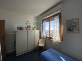 CONCHIGLIA - San Vincenzo - 1