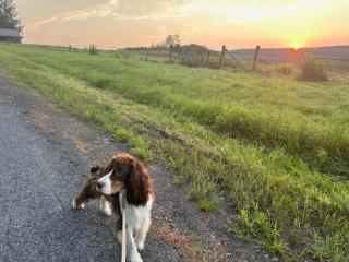 Horse Farm Retreat - 3