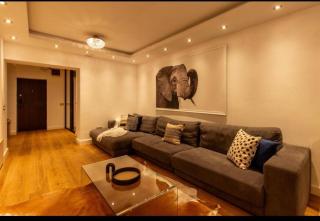 Downtown Oasis Unirii Apartment - Bucarest - 8