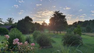 Les Cardaires - Grignols - 4