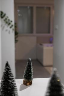 Zen et Romantique Room - Harmonie - Moulins - 1