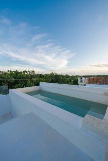 Relaxing Loft with private pool and amazing views in the heart of tulum - 5