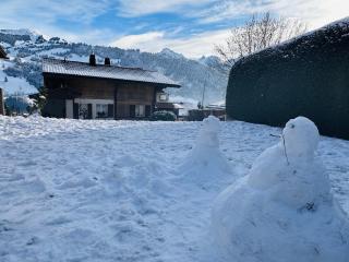 Chalet Solaria 2 bedrooms with mountain and garden view - Zweisimmen - 9