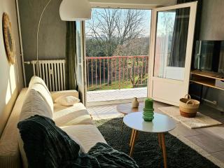 Appartement Les Oiseaux - Thionville - 4
