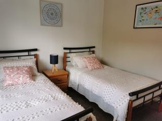 Modern home in Dunedin - Dunedin - 2