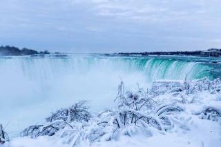 Vacation paradise - St. Catharines - 7