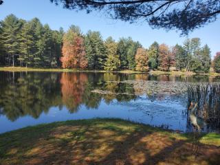 Paper Mill Pines Bed and Breakfast - - 0