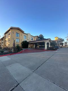 Super 8 by Wyndham The Woodlands North - The Woodlands - 9