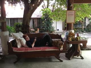 Baan Songjum - Chiang Mai - 3