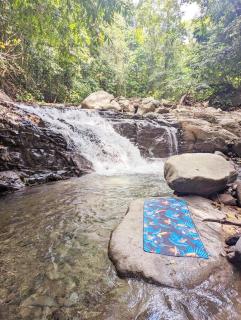 Yogachal Vista Mar Bamboo House in the Jungle - Ojochal - 5
