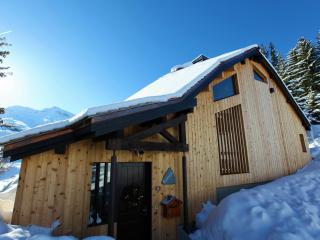 Chalet rénové avec spa, hammam, sauna et jacuzzi - 12 pers - centre Avoriaz - FR-1-314-231 - 9