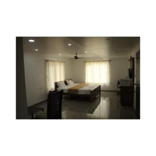 Blossom Valley Cottage - 3