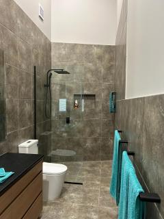 Pelicans on the Darling - 1