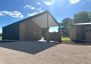 Pelicans on the Darling - 2