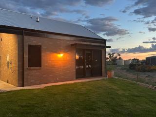 Pelicans on the Darling - 8