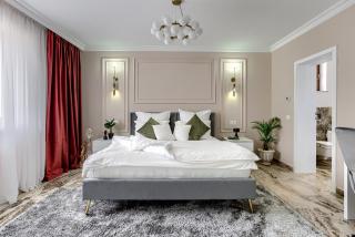 Sika Royal Garden & Spa Central Apartment Arad - 8