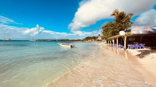 Maison T3 BLEUE OCEAN - Sainte-Anne - 2