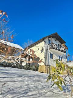 Carpathian manor - Jaremče - 8