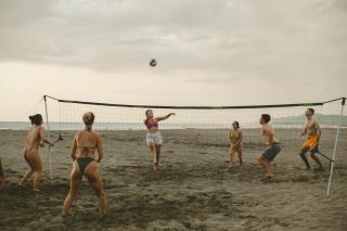 The Nordic House - 4