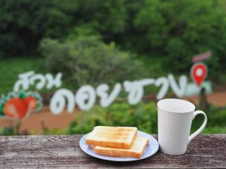 Doi Sang Farm Stay - ดอยซางฟาร์มสเตย์ - Ban Huai Kom - 8