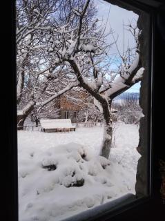 Zove Rural Cottage with garden views - 6