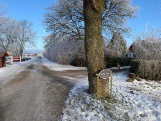 Villa Maria Garden Cottages, Helsingborg - Helsingborg - 9