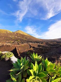 Costa Teguise II - 3
