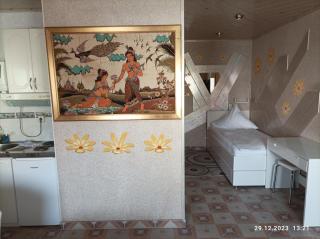 Central Hotel - Schwetzingen - 5
