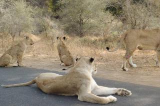 Nag-Apie Vakansiehuis - 6