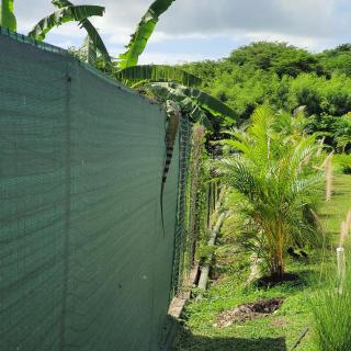 Eden Lodge 4 Villas avec piscine privée - Saint-François - 5