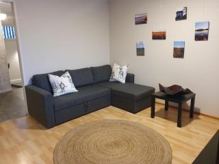 Make yourself at home - Rovaniemi - 5