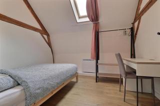 Grand loft proche Lille centre - Lille - 3