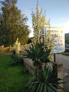 Apartmani Šćit - 2